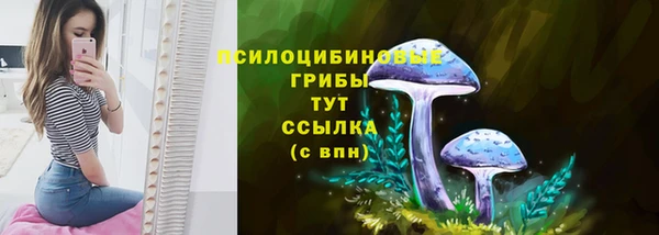 тгк Беломорск