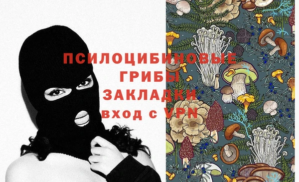 тгк Беломорск